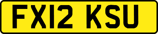 FX12KSU