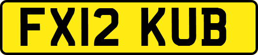 FX12KUB