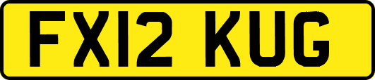 FX12KUG