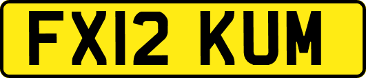 FX12KUM