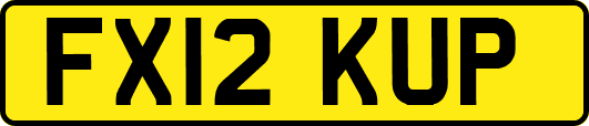 FX12KUP