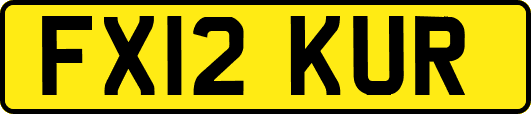 FX12KUR