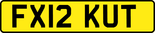 FX12KUT