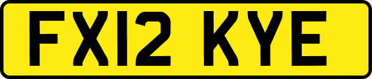 FX12KYE