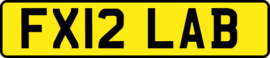FX12LAB