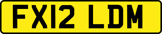 FX12LDM