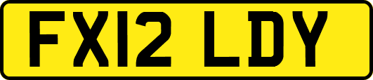 FX12LDY