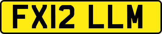 FX12LLM