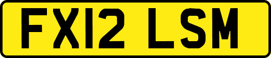FX12LSM