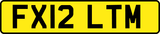 FX12LTM