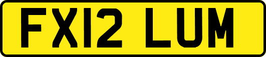 FX12LUM
