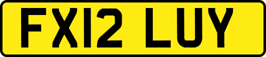 FX12LUY