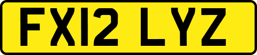 FX12LYZ