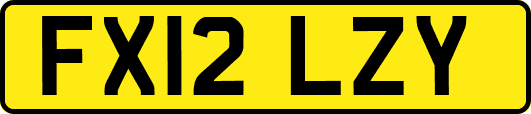 FX12LZY