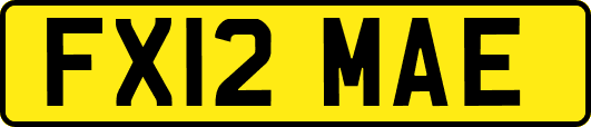 FX12MAE