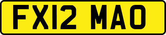 FX12MAO
