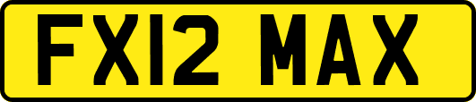 FX12MAX