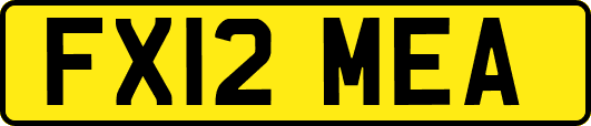 FX12MEA