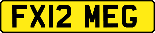 FX12MEG
