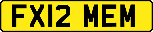 FX12MEM