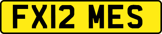 FX12MES