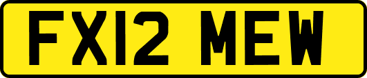 FX12MEW