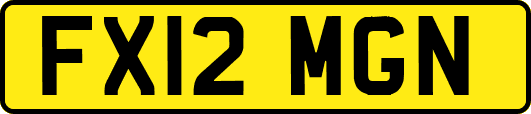 FX12MGN