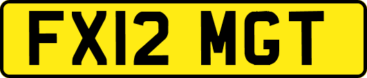 FX12MGT