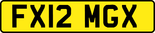FX12MGX