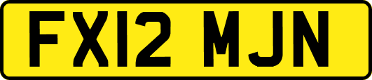 FX12MJN