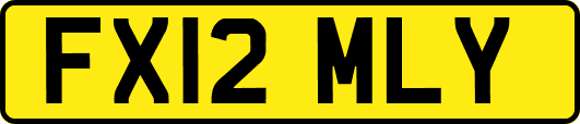 FX12MLY