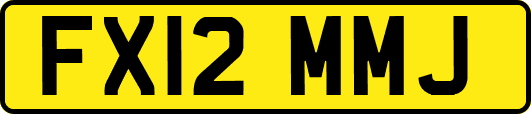 FX12MMJ