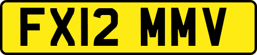 FX12MMV