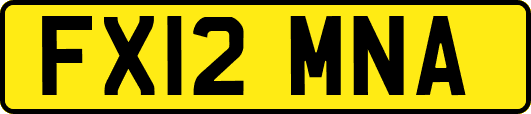 FX12MNA