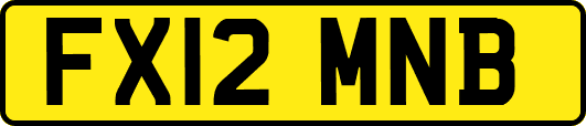 FX12MNB