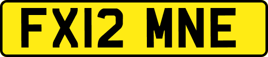 FX12MNE