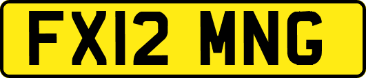FX12MNG