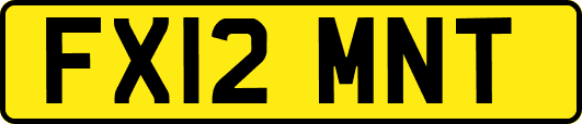 FX12MNT