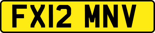 FX12MNV