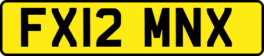 FX12MNX