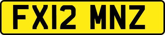 FX12MNZ