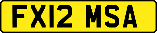 FX12MSA