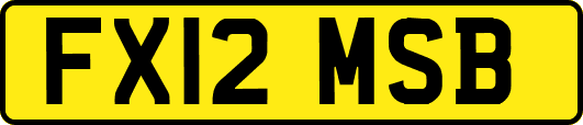 FX12MSB