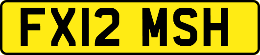 FX12MSH