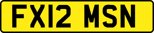 FX12MSN