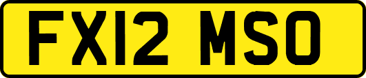 FX12MSO