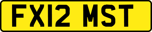 FX12MST