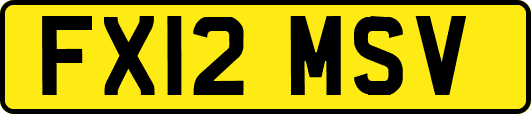 FX12MSV