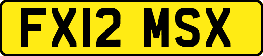 FX12MSX