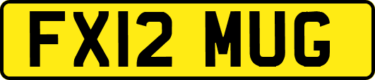 FX12MUG